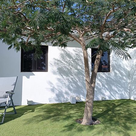 Cozy Colorado Pool View #3 Apartment Maspalomas  Exterior photo