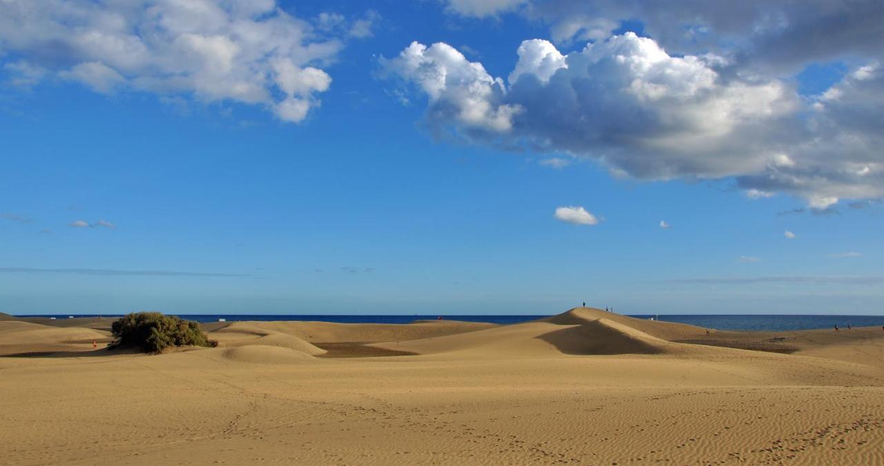Cozy Colorado Pool View #3 Apartment Maspalomas  Exterior photo